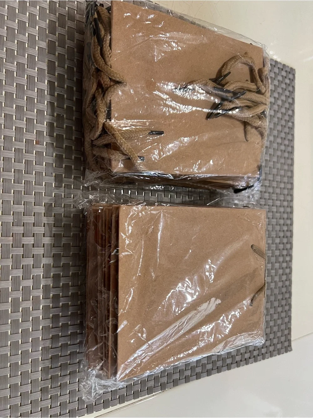 Set of 24 Small Kraft Paper Gift Bags with Rope Handles